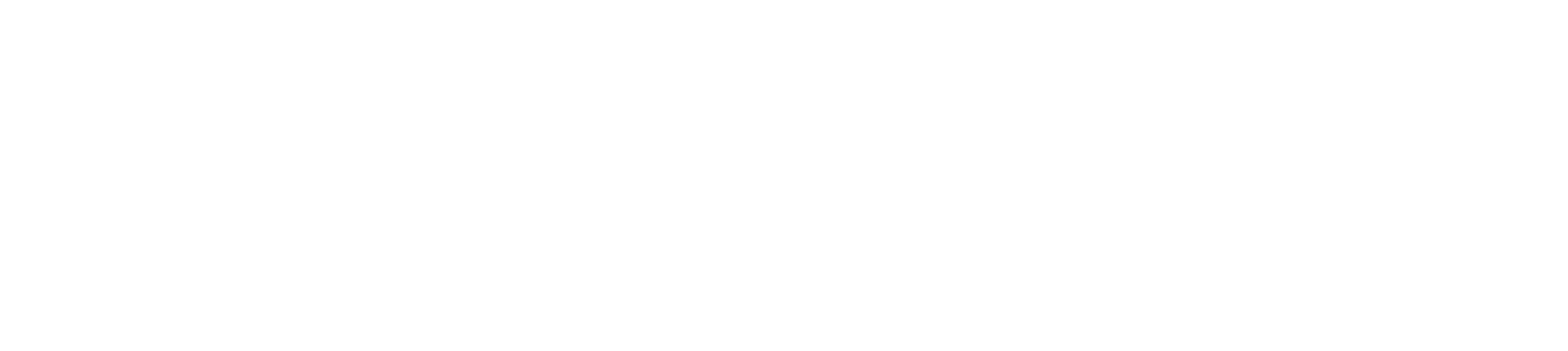 Precision AI Systems — Efficiency Meets Intelligence